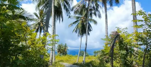 Natural scenery in Tojo Una-Una, Central Sulawesi - Palu, Indonesia