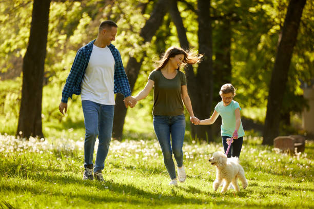 istock Happy family having fun while walking with a dog in the park 1385341671