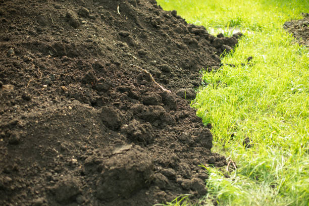 istock Soil on green grass. Land for planting. Black earth with trace elements. 1385343116