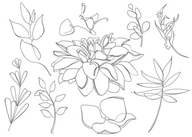 Vector illustration of Line art stye set of flowers, leaves, branches. Isolated floral shapes on white background