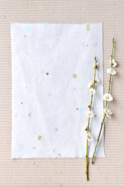istock White Plum Blossoms on the Japanese Paper 1385343216