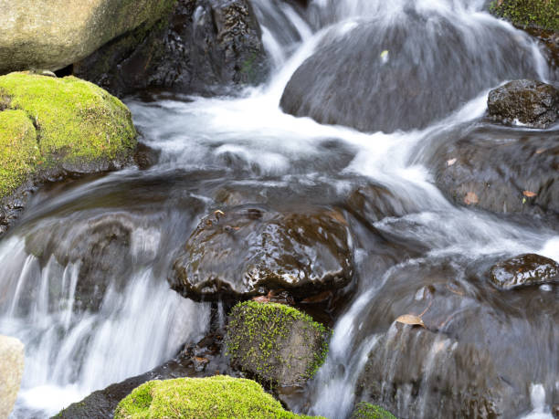 istock An artificially created waterfall in a Japanese garden 1385352497