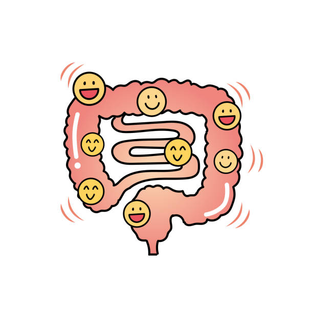 istock Image illustration of a healthy intestine 1385357583