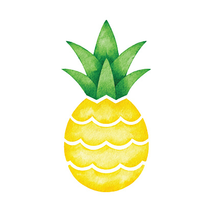 Watercolor illustration of a pineapple. Vector tracing.