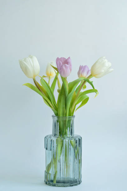 istock A beautiful tulips stands in a vase 1385362050