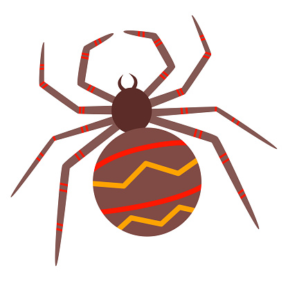 Vector illustration of a venomous striped spider in a flat style, isolated on a white background.