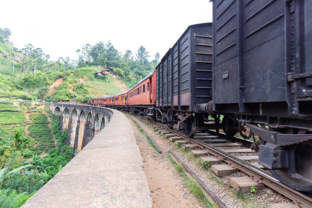 istock Steam train on the Nine Arches Demodara Bridge 1385366041
