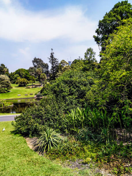 Royal Botanic Gardens, Melbourne stock photo