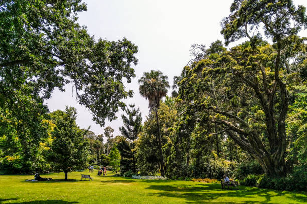 istock Royal Botanic Gardens, Melbourne 1385377497