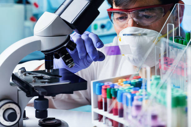 Scientific microbiologist preparing blood smear for analysis under the microscope stock photo