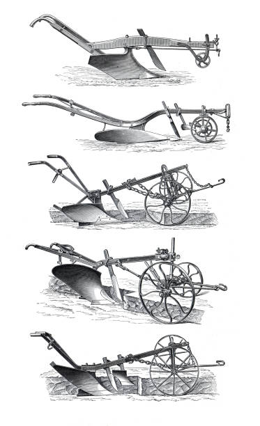 Agricultural tools . different antique land plow tools. Hand drawn engraved illustration. gardening tools for plowing the land. collection of vintage land plows. for growing basic foods. Agricultural tools . different antique land plow tools. Hand drawn engraved illustration. gardening tools for plouging the land. collection of vintage land plows. for growing basic foods. antique pitchfork stock illustrations