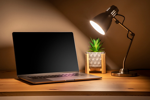 Front view of a desk with a laptop a plant and a desk lamp. There is a useful copy space on the laptop screen. The desk is illuminated by the lamp.