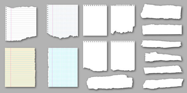Set of notebook torn pages and pieces of ripped paper for notes. Vector illustration Collection of empty notebook torn pages and pieces of ripped paper for notes. Vector illustration ruled paper stock illustrations