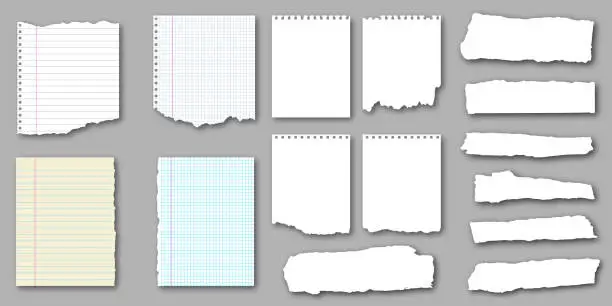 Vector illustration of Set of notebook torn pages and pieces of ripped paper for notes. Vector illustration