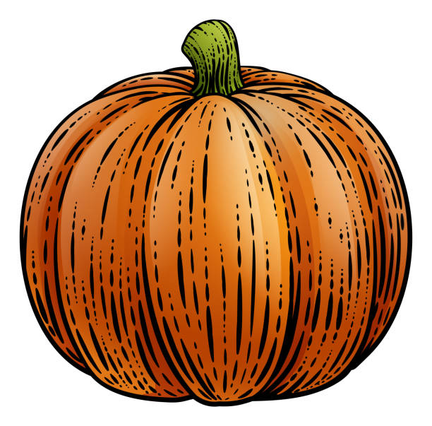 pumpkin vegetable vintage woodcut ilustracja - pumpkin patch stock illustrations