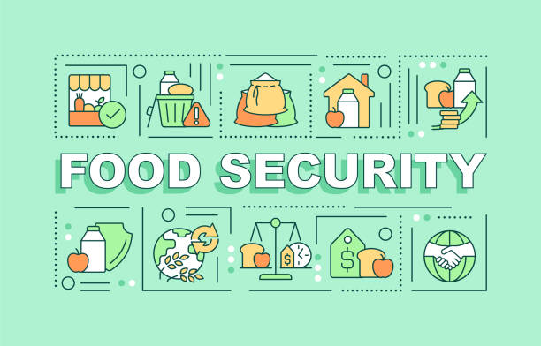 ilustraciones, imágenes clip art, dibujos animados e iconos de stock de conceptos de palabras de seguridad alimentaria banner verde - infografías de precios