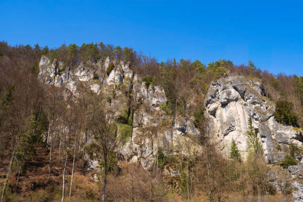 istock The Wiesent valley in spring 1385394630