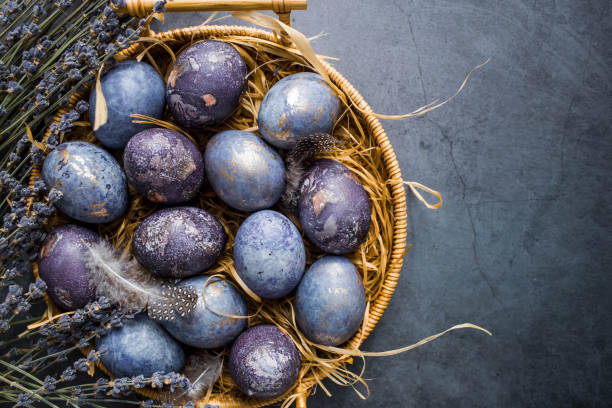 carte de pâques avec une copie de l’endroit pour le texte. œufs violets, bleus et dorés dans un panier sur fond sombre. la tendance de la teinte violette de 2022 est très péri. colorant naturel karkade thé. vue de dessus. - birds nest animal nest animal egg blue photos et images de collection