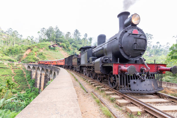 istock Steam train on the Nine Arches Demodara Bridge 1385400431