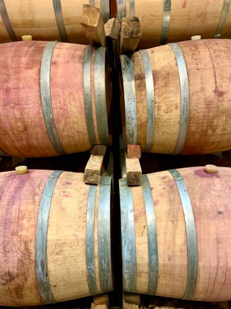 fûts dans un vignoble - winery wine cellar barrel photos et images de collection