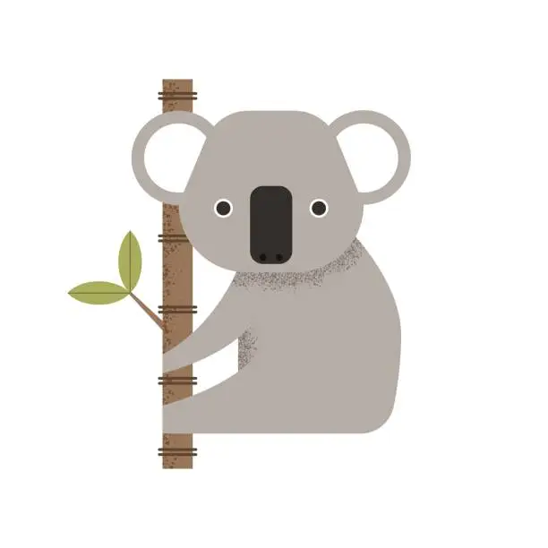 Vector illustration of Wild koala on the tree vector