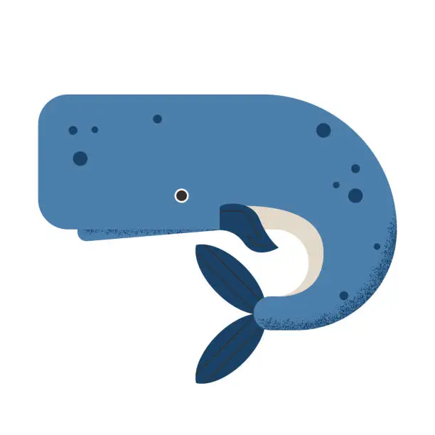 Vector illustration of Blue cachalot vector