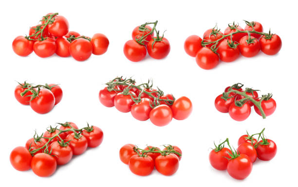 istock Set of ripe red tomatoes on white background 1385411927