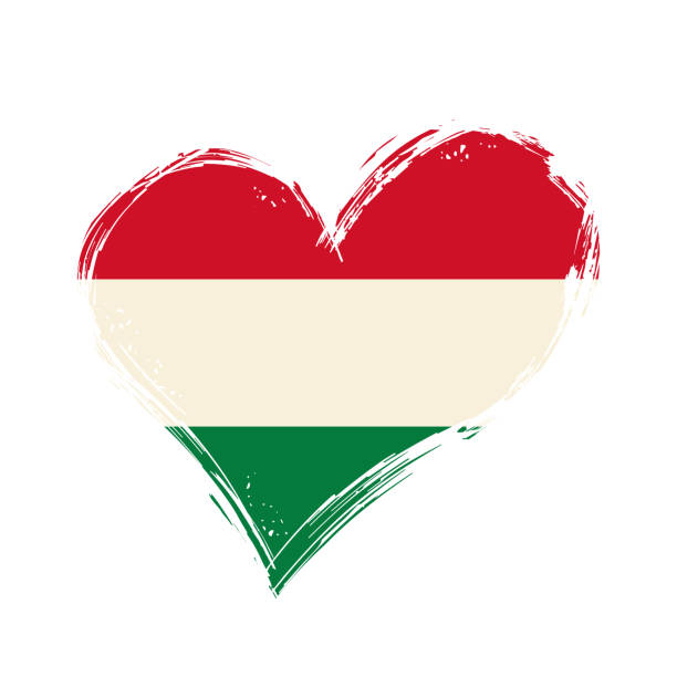 illustrazioni stock, clip art, cartoni animati e icone di tendenza di bandiera ungherese sfondo grunge a forma di cuore. illustrazione vettoriale. - hungary flag banner dirty
