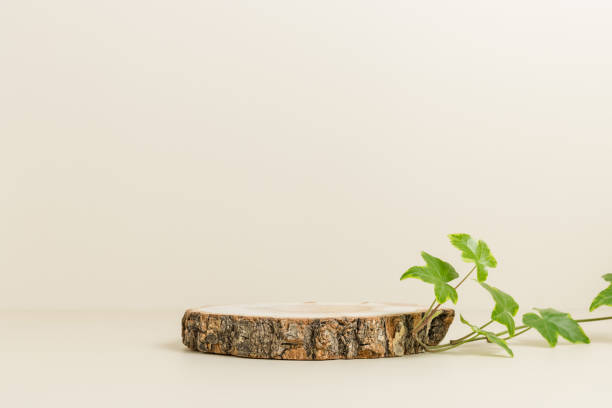 istock Empty wooden podium with green ivy leaves, display for eco-friendly 1385420638