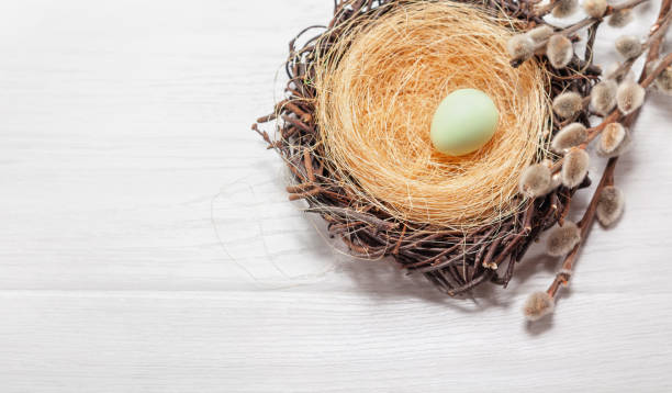 istock Easter background with eggs in the nest on the branch 1385421163
