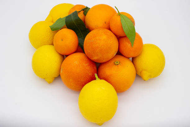 Few oranges, tangerines and lemons on white background. Isolated image.