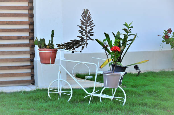 On grass a door bike vase with plants decorating garden