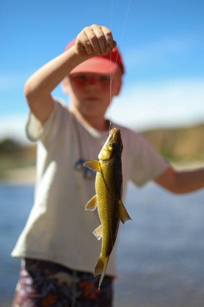 istock A young boy holding a fish he caught 1385432724