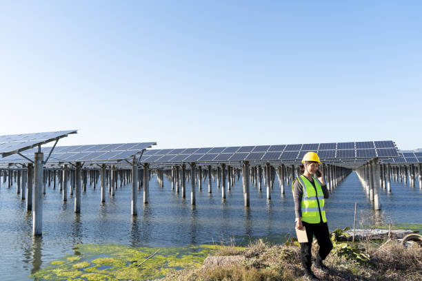istock Solar power plant with female engineer on the phone 1385433399