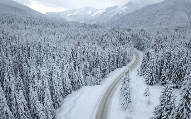 istock Snow blizzard in Parang Mountains 1385433471