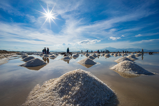 Workers are collecting salt on Hon Khoi salt farm in Ninh Diem, Khanh Hoa province, central Vietnam