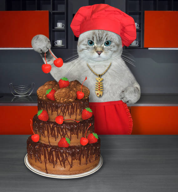 istock Cat ashen cooks truffle cake 1385446290