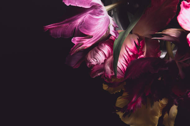 istock Bunch of Parrot Style Tulips 1385450998