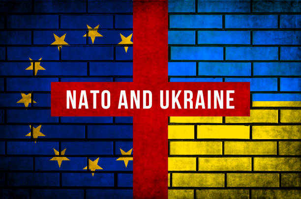 istock NATO and Ukraine flags background. Conflict, protest and russian invasion, war concept 1385452086