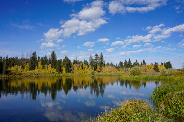 Jumbo Reservoir in Grand Mesa National Forest. The clouds are reflecting in the water and the surrounded by fall color