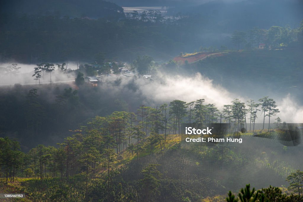 Foggy day on Klong Klanh valley Foggy day on Klong Klanh valley with pine tree on the hill, Lam Dong province, central highlands Vietnam Beauty Stock Photo