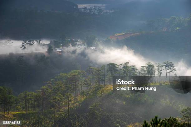 Foggy Day On Klong Klanh Valley Stock Photo - Download Image Now - Beauty, Beauty In Nature, Central Highlands - Vietnam