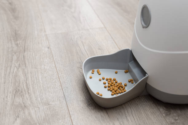 automatic pet food dispenser. smart cat feeder automatic pet food dispenser on floor at home. smart pet feeder controlled remotely via an app on phone. Pet care automatic stock pictures, royalty-free photos & images