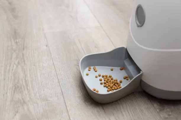 Photo of automatic pet food dispenser. smart cat feeder