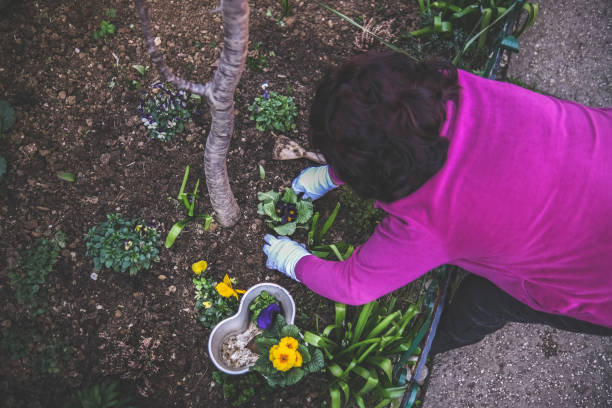 istock Senior lady making more room for pretty flowers 1385463704