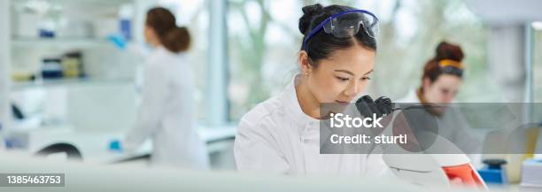 Laboratory Analysis Stock Photo - Download Image Now - Laboratory, Medical Research, Scientist