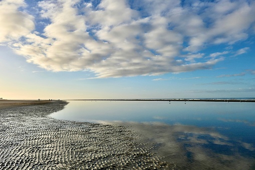 Cold day in January 2022 at the North Sea in Wadden Sea National Park, Germany