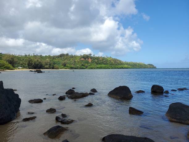Beach in Kauai, Hawaii stock photo