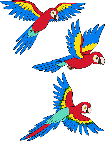 Cartoon birds. Three parrots red macaw fly and smile.