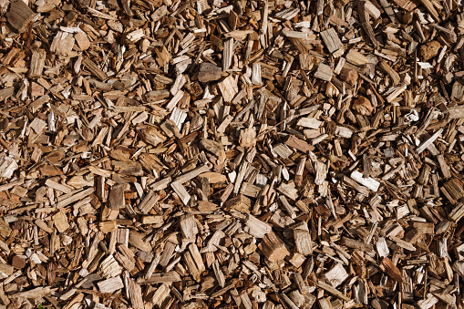 Pine wood chips texture